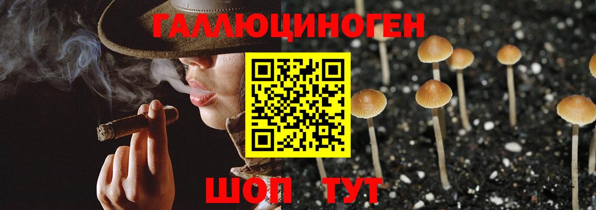 Галлюциногенные грибы ЛСД Сунжа