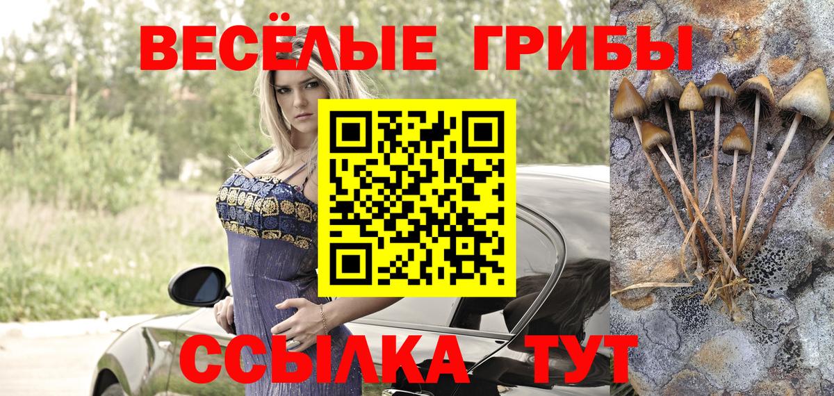 Псилоцибиновые грибы Psilocybine cubensis  Вход с VPN  закладки  Галлюциногенные грибы Cubensis  Сунжа 